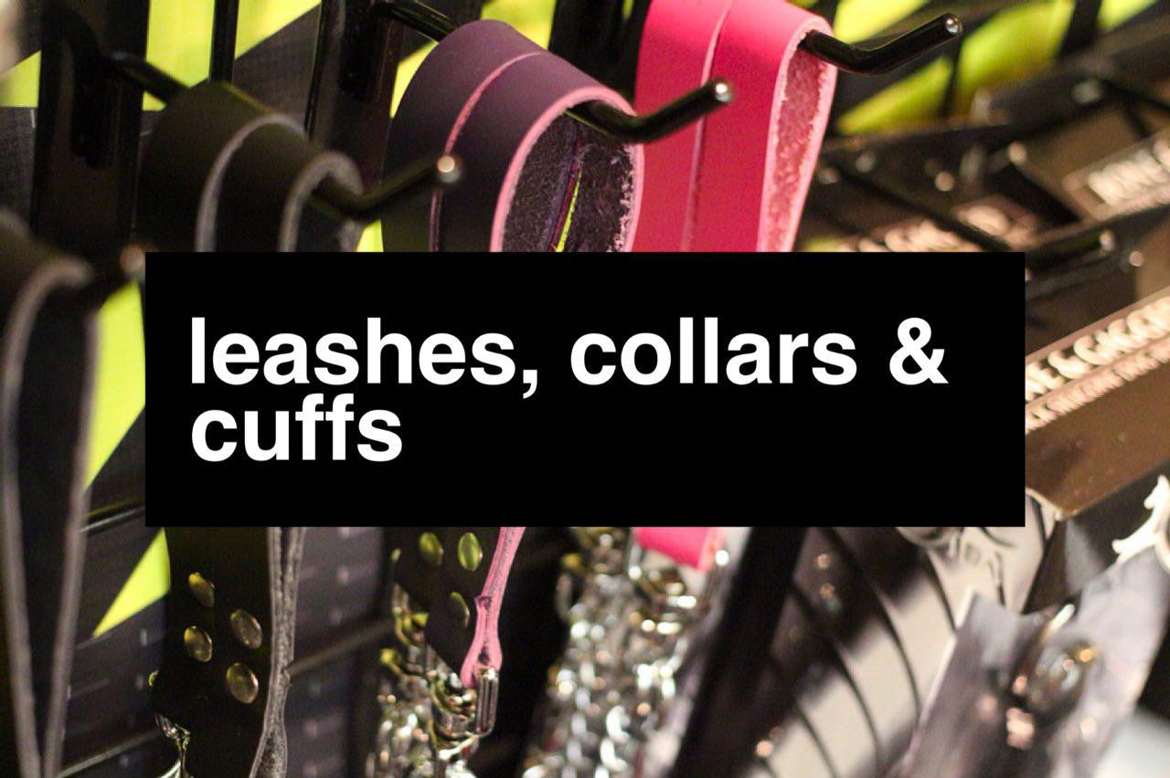 Leather BDSM puppy and kitten play leashes and collars
