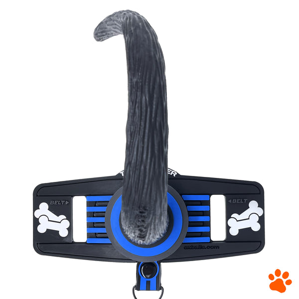 Silicone Belt Show Tail - Tail Handler - Blue