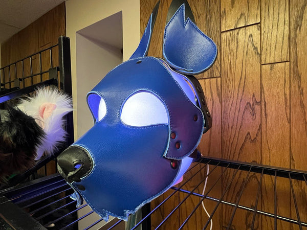 Blue Leather Puppy Hood